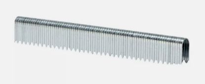 Afbeelding - 1033557-jpg